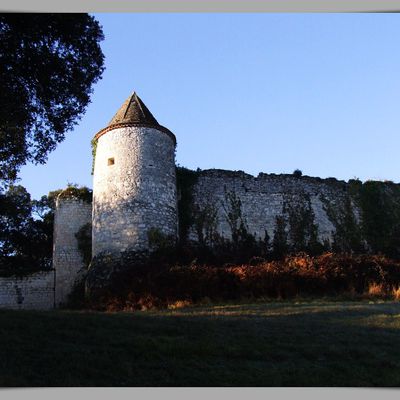 Château de PARDAILLAN - Beaucaire