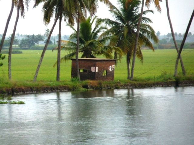 Album - INDE (Kerala Backwaters 1)