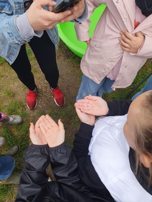 Après un accueil très sympathique, l'installation des chambres et une après-midi pêche à l'épouisette, les enfants ont profité d'une veillée conte. La première nuit a été paisible et ce matin après un petit déjeuner copieux les enfants sont partis à la pêche à la ligne. Belle journée à tous.