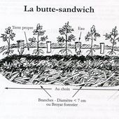 Droit aux buttes