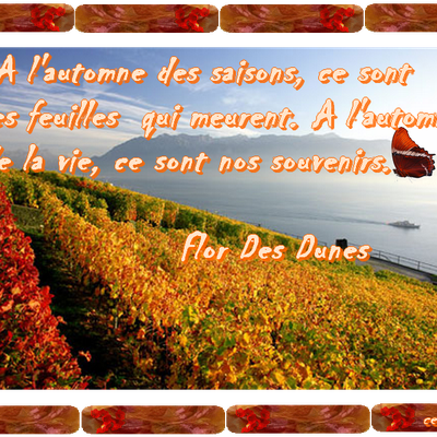 citation d'automne
