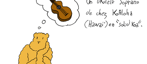 Questionnaire de Mac