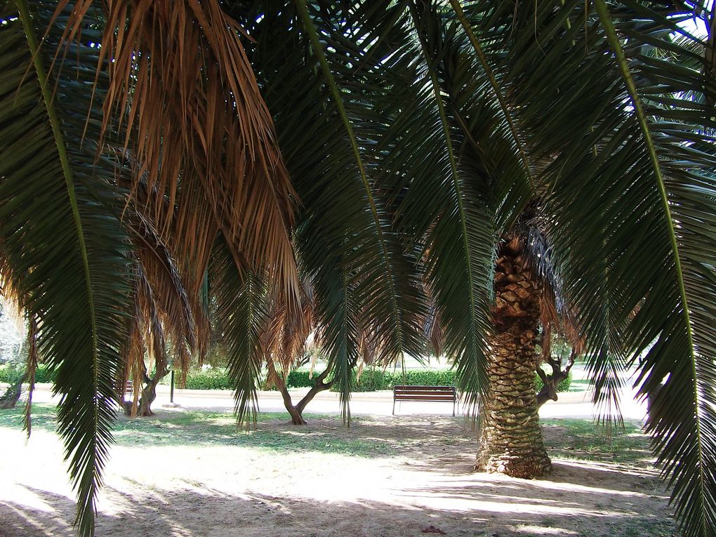 Album - Parque-La-Granja-San-Jose--Zaragoza-