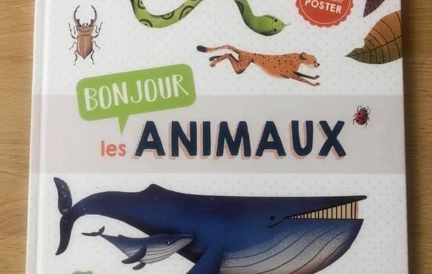 Bonjour les animaux ! L’encyclo des petiots Langue au chat 