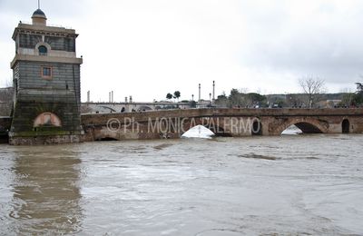 Roma: Il tevere sta in piena