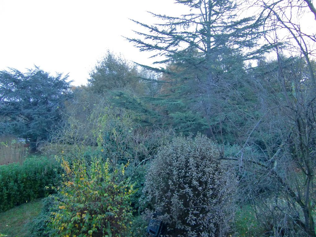 une maison couleur régionale, Château d'eau réhabilité, vues sur le jardin, les canards, le gavage, la maison familiale...