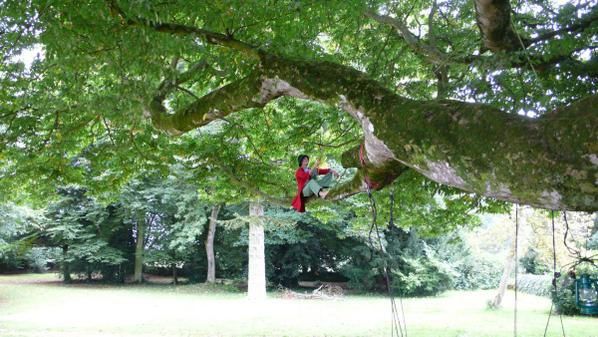 Installation de la Caravan'arbres dans le parc du château de la Sauldraie près de Lambale en Bretagne. Une semaine sous le charme...