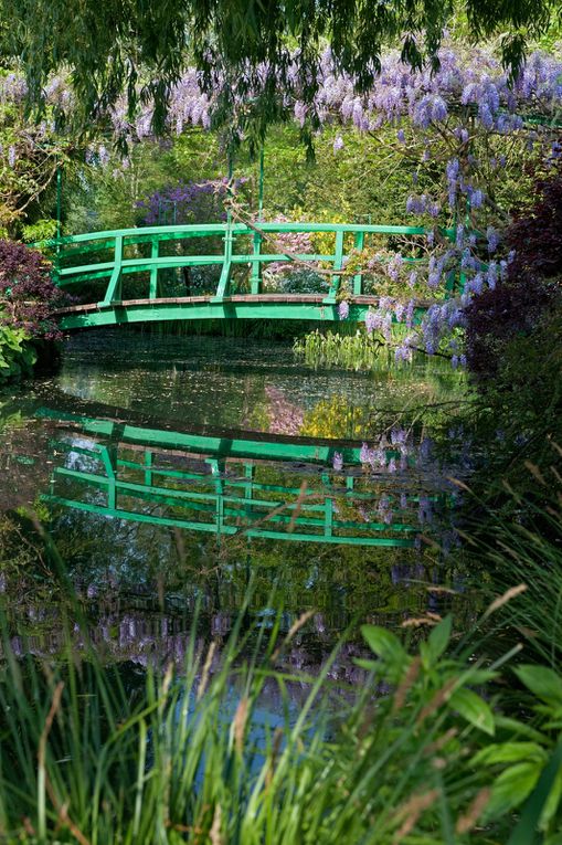 UNE SAISON « GÂCHÉE » MAIS UN JARDIN « PRÉSERVÉ » ….