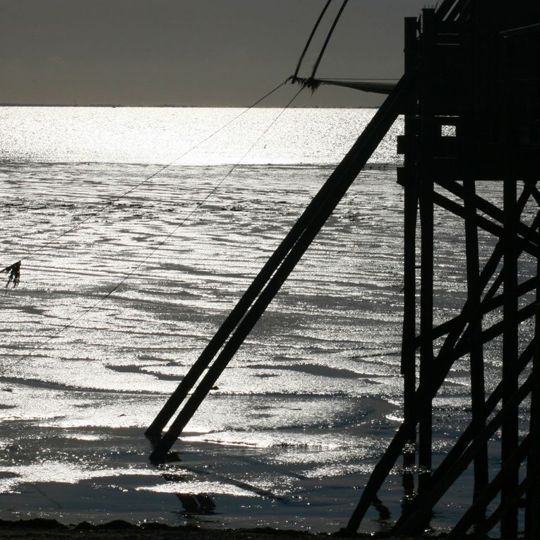 Album - Les Carrelets