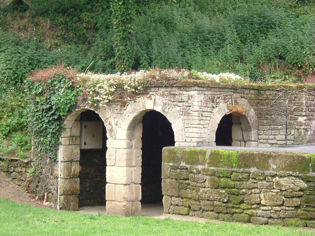 51éme éditions des Journées de la Rose aux Arènes de Doué la Fontaine.