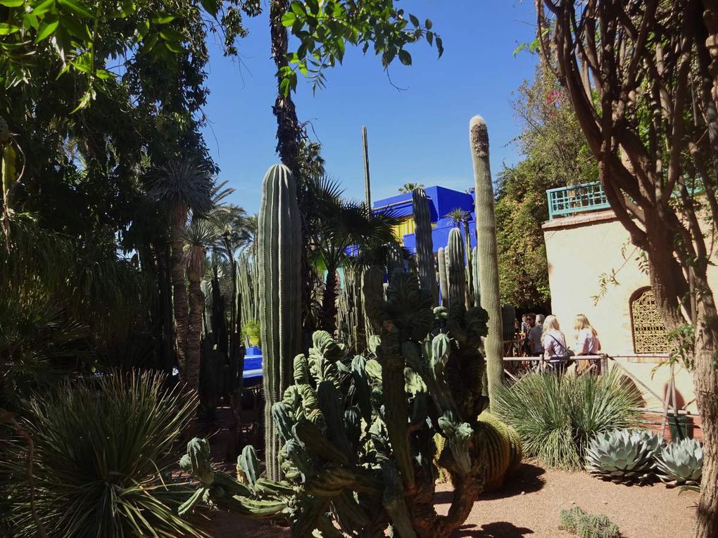 Marokko - Marrakesch - Jardin Majorelle