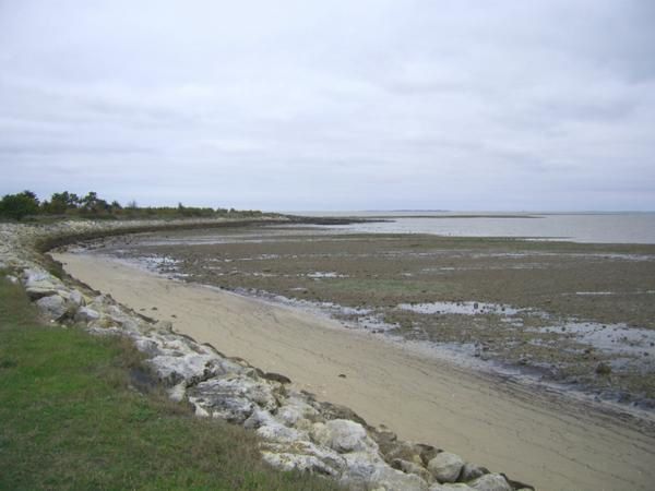 Cette balade à pied se fait à partir du viaduc en prenant le sentier du littoral jusqu'au pont Napoléon (chenal de la Brande). IL vous faudra 2 à 3 heures pour faire cette promenade via la citadelle du château et le moulin de la Côte.