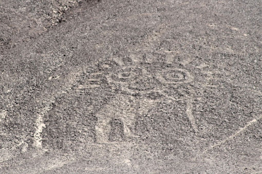 Nasca