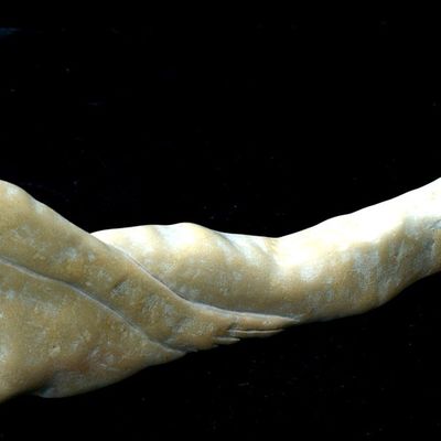 REPOS -  Trésors de garrigue © 325/1001