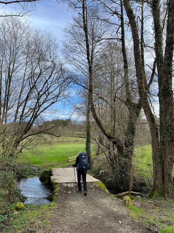 Des arbres en fleurs et enfin Palas de Rei