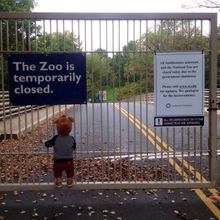 Zoo closed (shutdown USA)