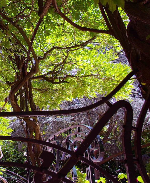 Voici des images de cette villa du Vésinet, en fait nommée la Villa Berthe, construite par l'architecte art nouveau Hector Guimard en 1896, contemporaine du Castel Béranger, à Paris. Cette villa ouvre les portes de ses jardins et de ses façades