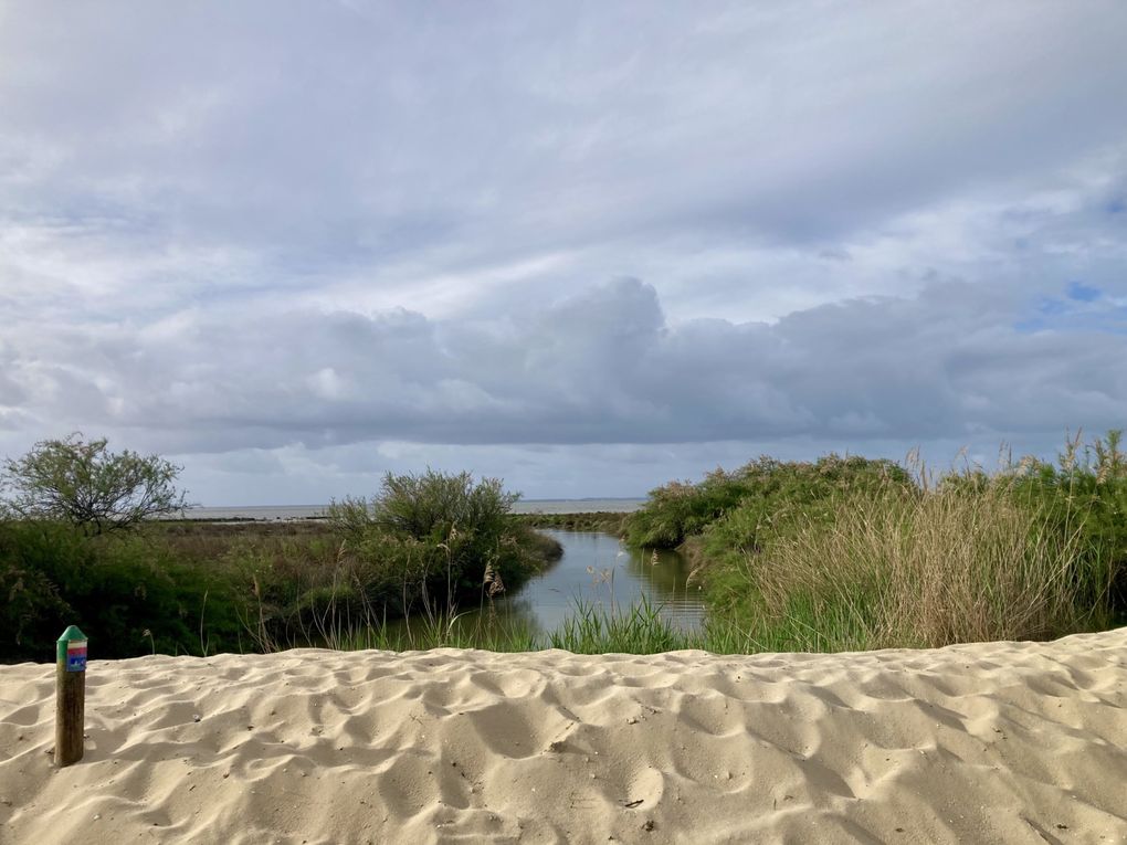 Voie du littoral ou voie de Soulac. Étapes et hébergements