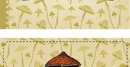 Les champignons, c'est de saison !!!