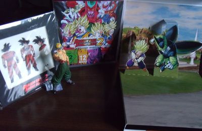 Unboxing/Déballage Dragon Ball RAGING BLAST 2 édition limited PS3