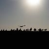 Essaouira, le 26 décembre 2011 -2