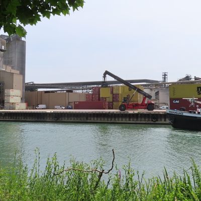 Mardi 10 juin 2025. Nogent sur Seine-Beaulieu. 5 personnes. 10 kms.