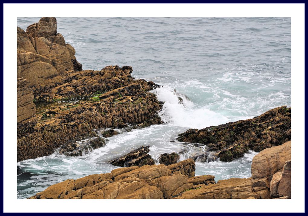 Album - COTE-SAUVAGE-QUIBERON