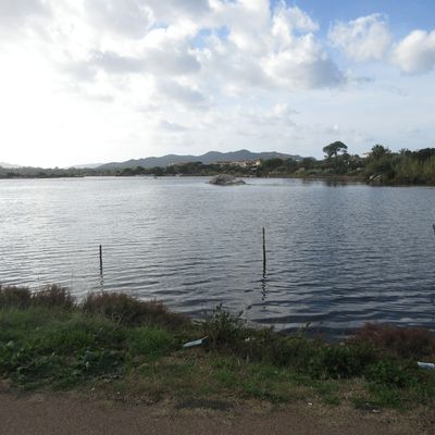 Les marais salants de Porto Vecchio