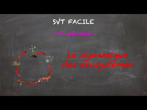 La dynamique des écosystèmes