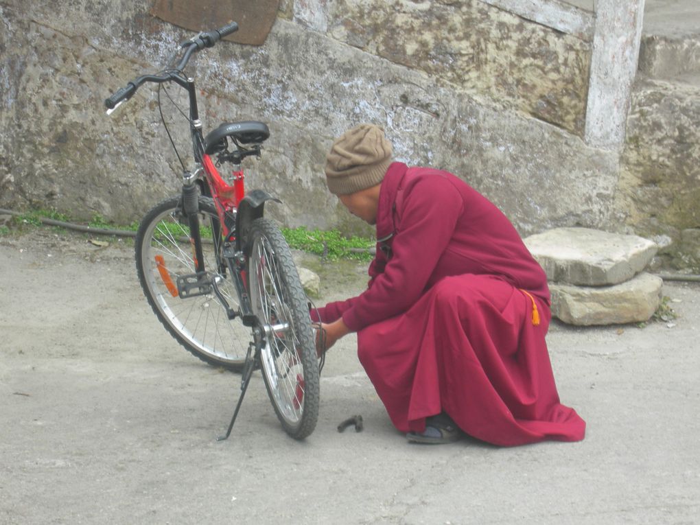 Début de nos photos indiennes (octobre - décembre 2013)