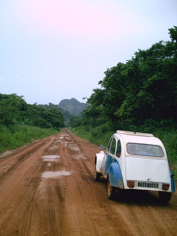 Album - Cameroun