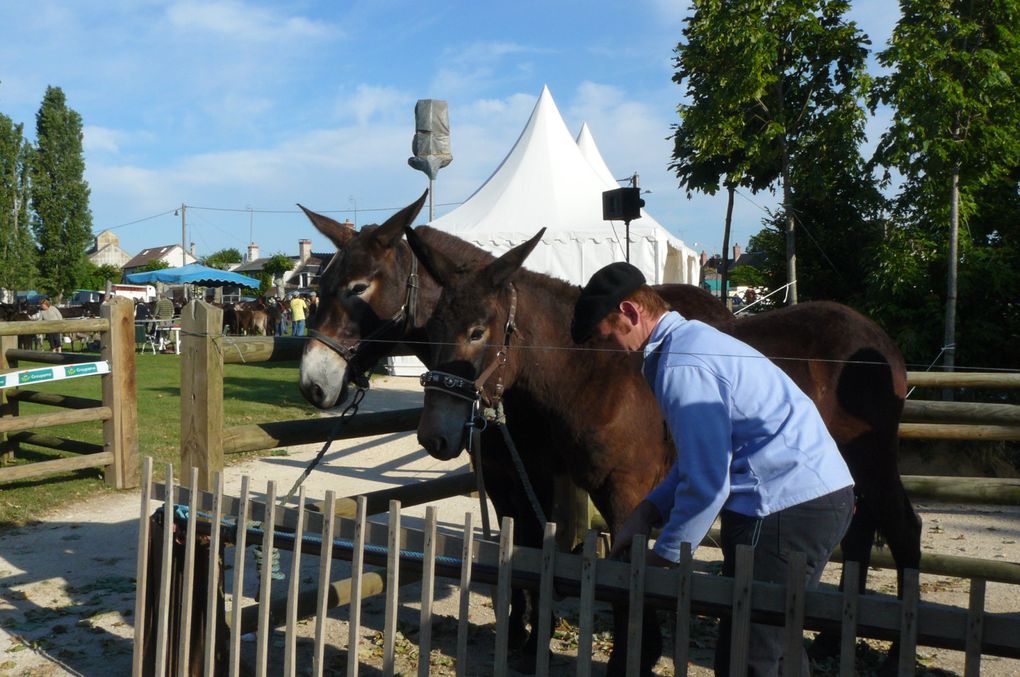 Album - Foire de Lignières 2009