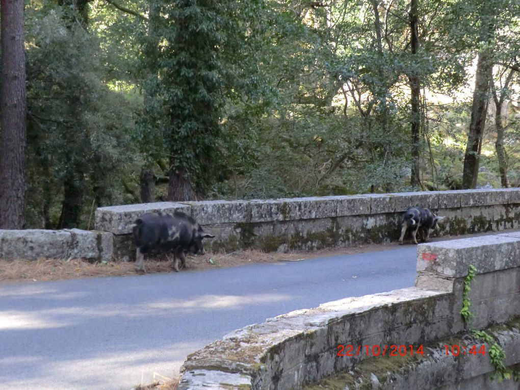 Superbe balade en Corse avec nos Deuches.