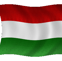 La Hongrie termine 9e des Jeux Olympiques 2012