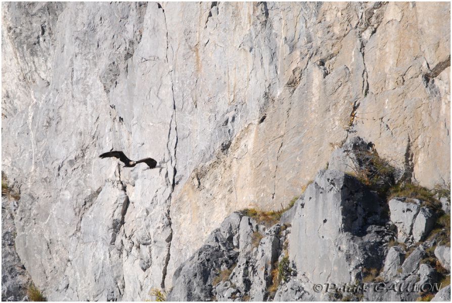 Album - Dans-le-ciel-de-la-vallee