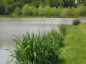 Un sentier où l'on permet de découvrir ce paysage ainsi que la faune et la flore