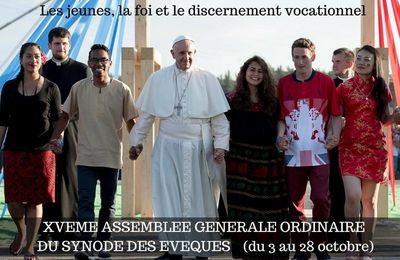 Instrumentum laboris : Les jeunes, la foi, le discernement vocationnel (121)