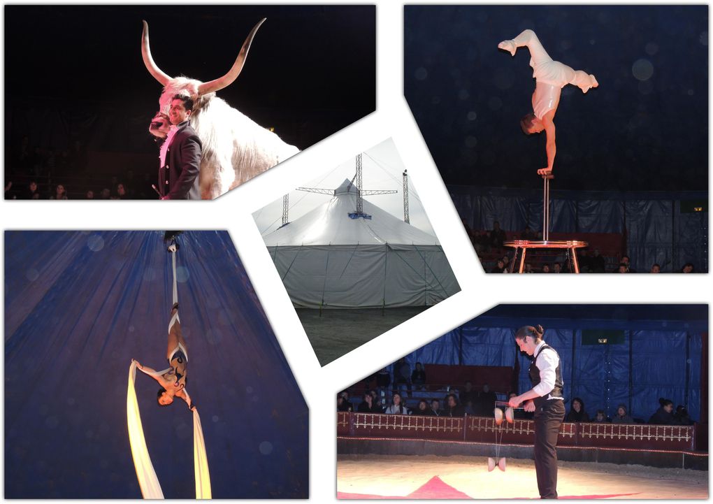 Festival-Arts-du-cirque