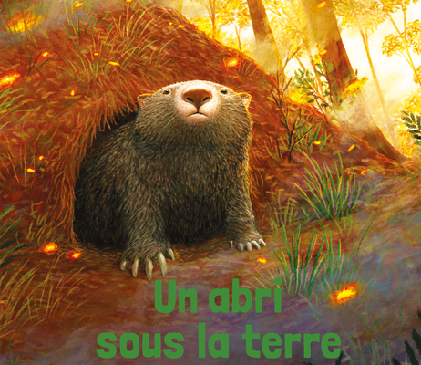 Un abri sous la terre - Sarah L. Thomson & Charles Santoso