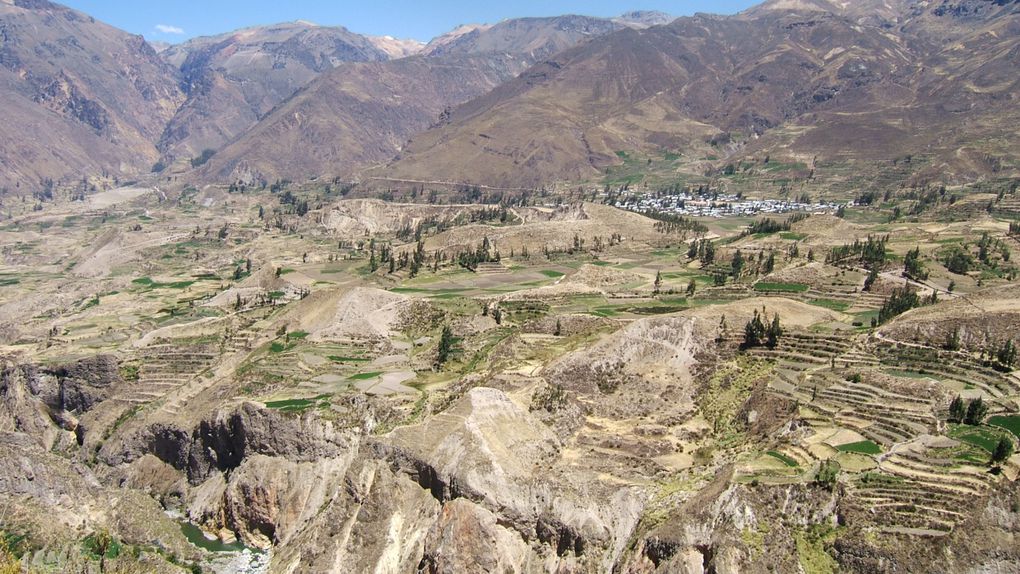 Album - Arequipa et Canyon de Colca