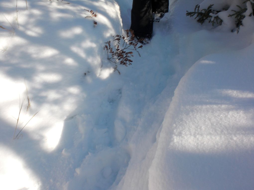 du 2 février au 5 février 2012