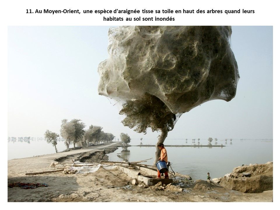 Divers - Phénomènes naturels