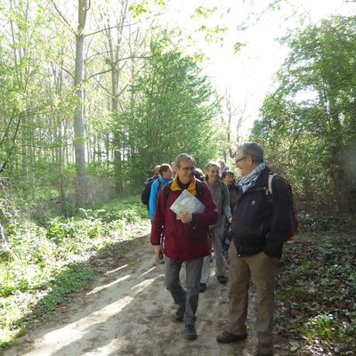 Randonnée d'Egly à Saint-chéron - 20,7 km.