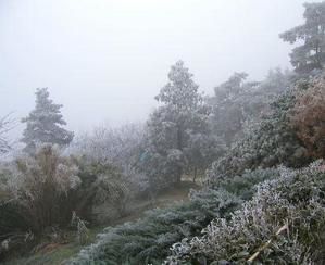 Un Dimanche sans VTT ???