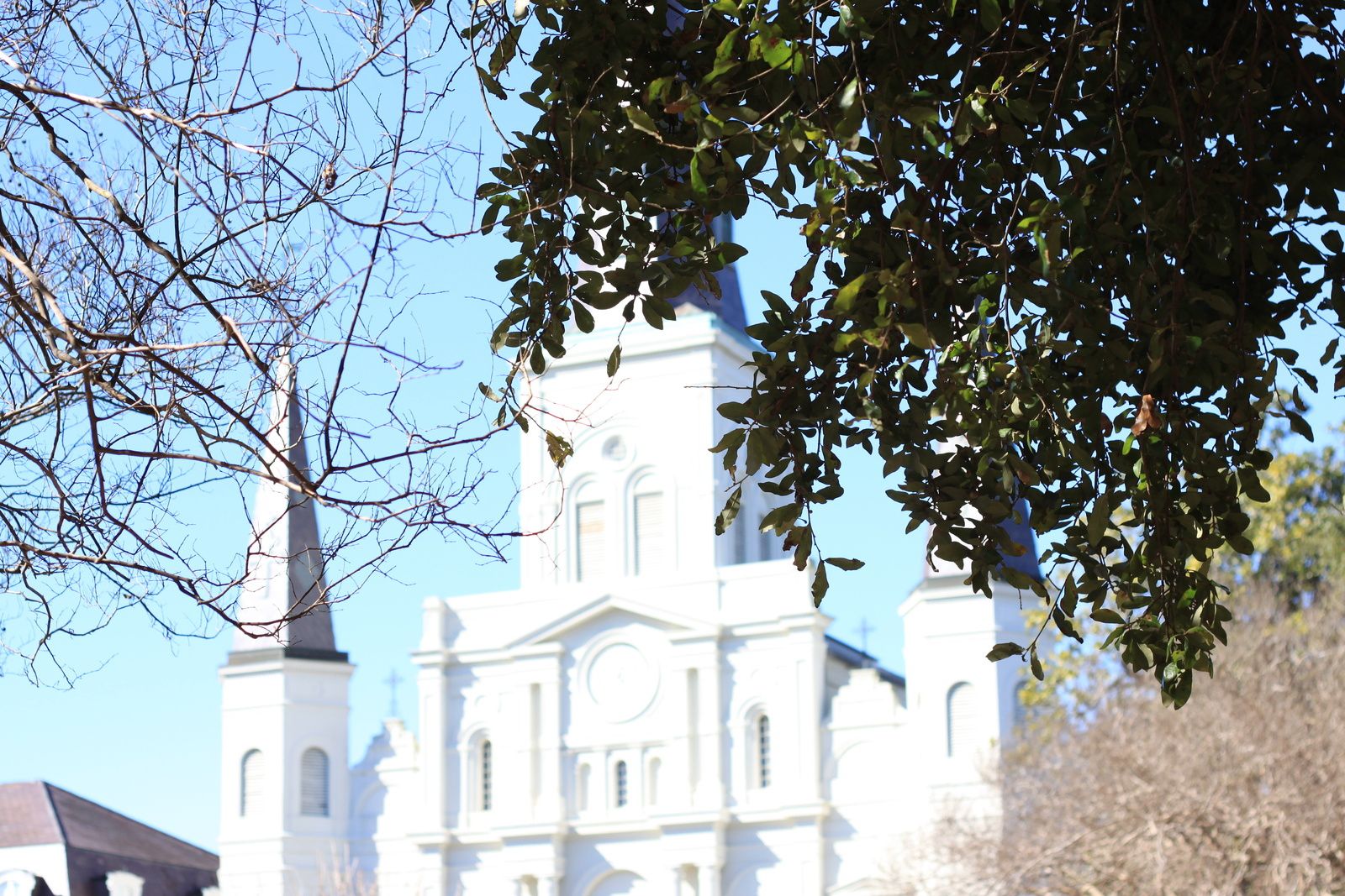 NOLA Arrival