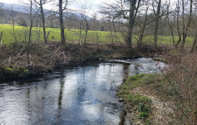 A la Découverte d'une rivière dans le Tarn