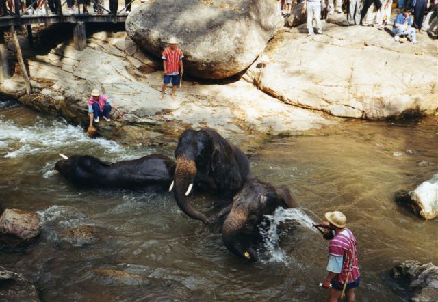 Thailande du nord au sud