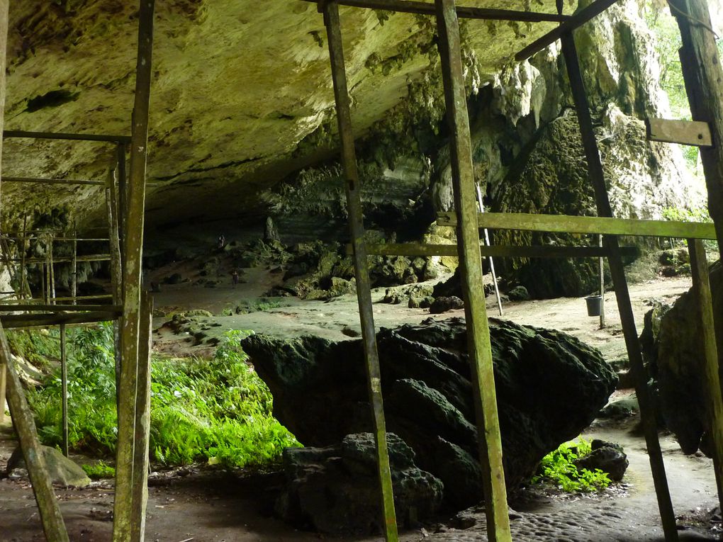 Excursion depuis Miri dans les cavernes de Niah - 
J'ai atteint les limites de mon appareil photo, la :) Toujours joue sur l'exposition pour essayer de capter les verts, impressionnants.