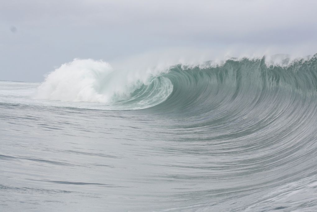 Album - VAGUES-DE-TEAHUPOO-AOUT-2011