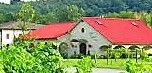 #Muscat Canelli Wine Producers Pennsylvania Vineyards